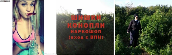 бутик Новозыбков