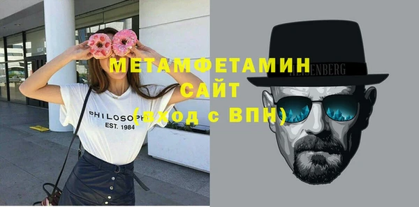прущие грибы Новозыбков