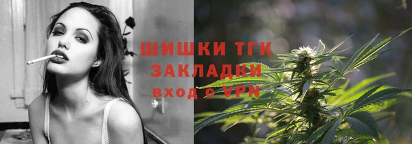 прущие грибы Новозыбков