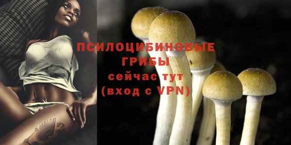 ALPHA-PVP Новодвинск