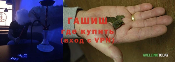 прущие грибы Новозыбков
