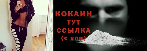 прущие грибы Новозыбков
