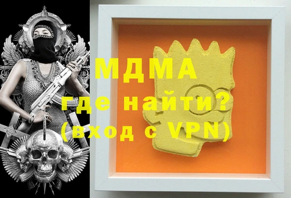 прущие грибы Новозыбков
