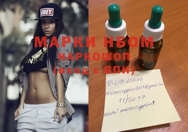прущие грибы Новозыбков