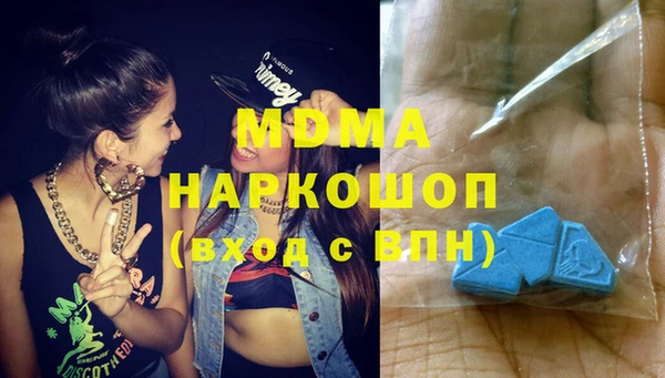 прущие грибы Новозыбков