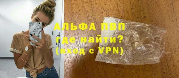 прущие грибы Новозыбков