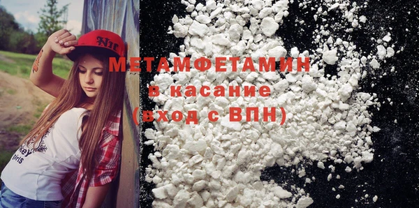 прущие грибы Новозыбков