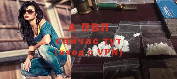 прущие грибы Новозыбков