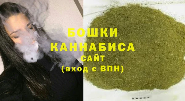 прущие грибы Новозыбков