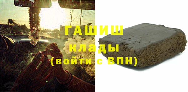 прущие грибы Новозыбков