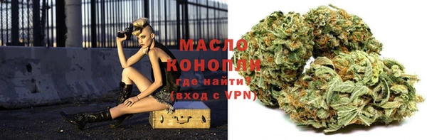 прущие грибы Новозыбков