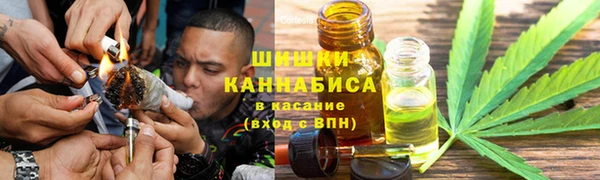 дмт Новокубанск