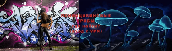 дмт Новокубанск