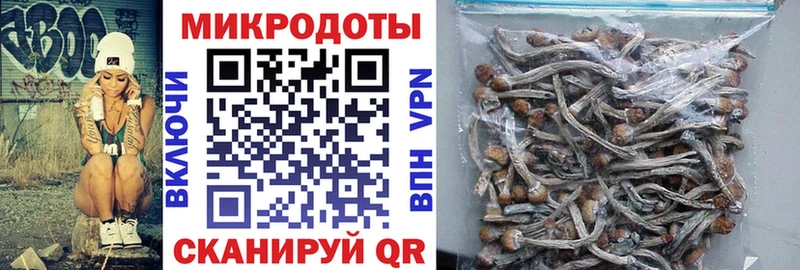 дарнет шоп Нахабино Галлюциногенные грибы ЛСД