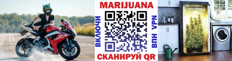 Канабис планчик Нахабино